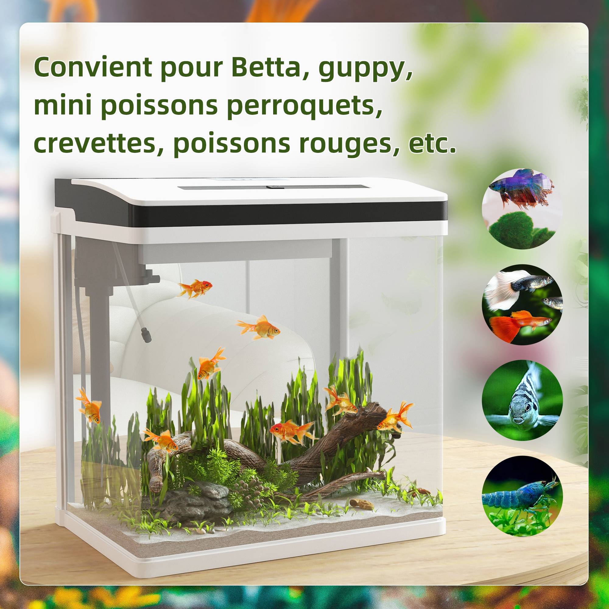 Aquarium complet verre 28L avec filtre silencieux éclairage LED 38x26x39cm blanc - ComfortXL Outdoor Living - Image 6
