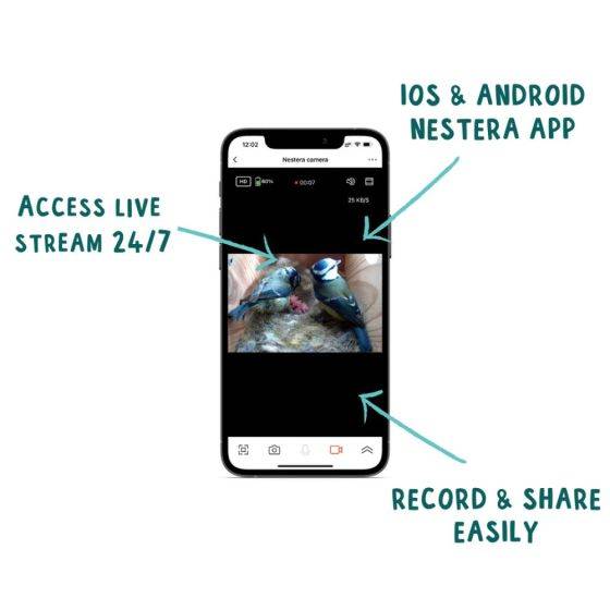 Nestera - Nichoir avec caméra WiFi - Image 4