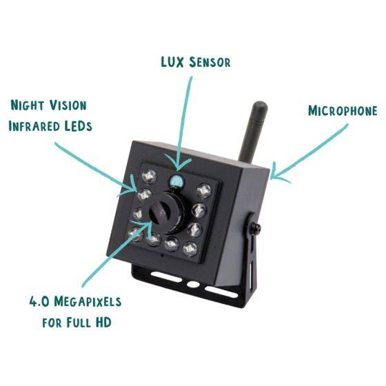 Nestera - Nichoir avec caméra WiFi - Image 3