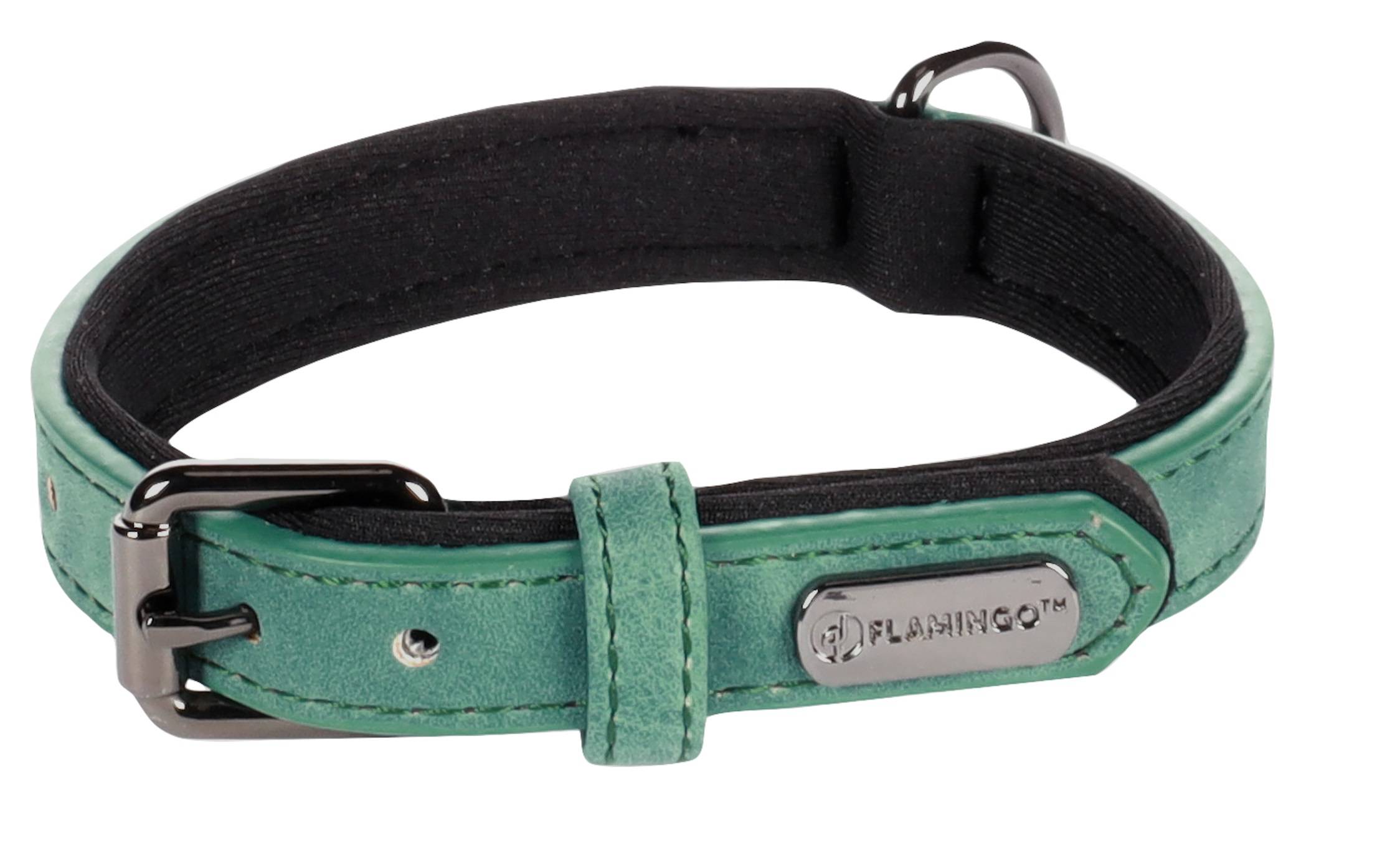 Eden - Collier pour chien avec doublure néoprène XS / S 24-30cm 15mm vert - Image 3