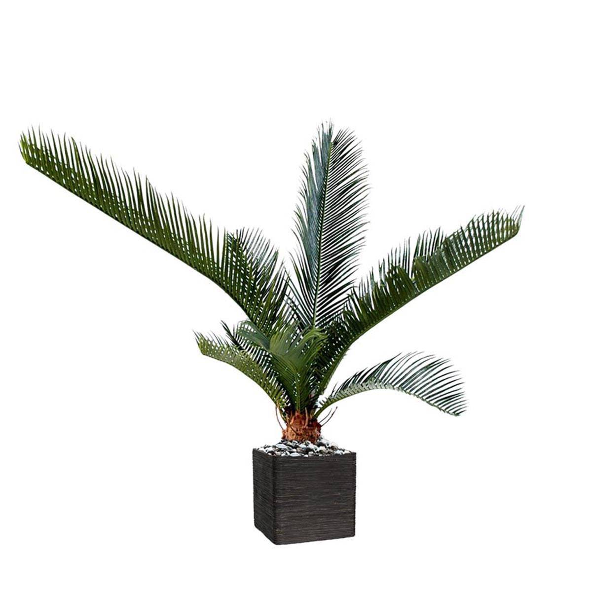 Artificielles - Palmier Cycas Artificiel en pot H 60 cm Vert - dimhaut: H 60 cm - couleur: Vert