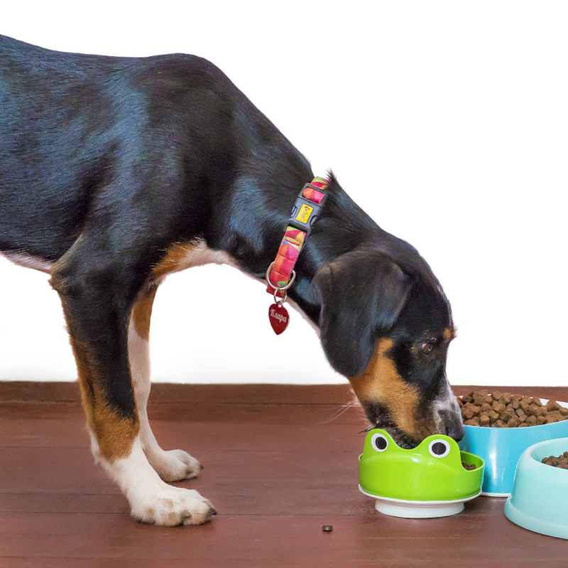 Carnilove - Carnilove - Croquettes Sans Cérales True Fresh au Boeuf pour Chien - Imagen 3