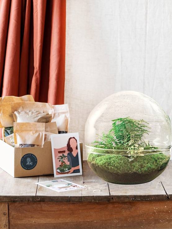 Kit Terrarium Diy - D30 H30cm - Image 1
