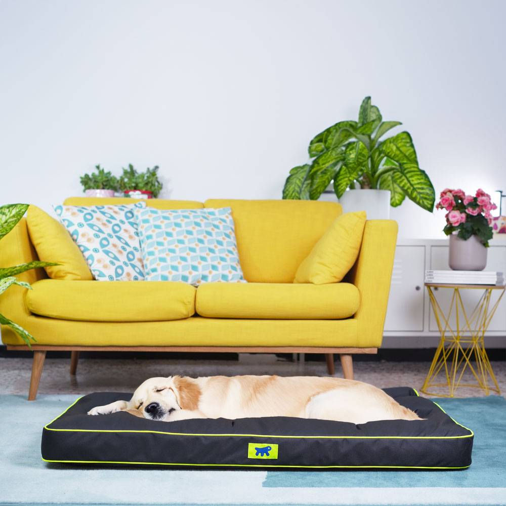 Ferplast - FERPLAST Panier Chien Chat - Coussin Orthopédique Chien - Lavable en Machine - Tapis Chien - Lit Chat Chien - Imperméable & Anti-Rayures - Rembourrage - Imagen 3
