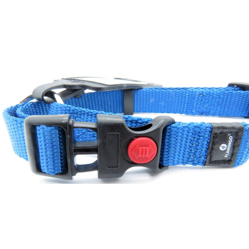 Collier Ziggi bleu 30 -45 cm 15 mm taille S pour chien - Image 4