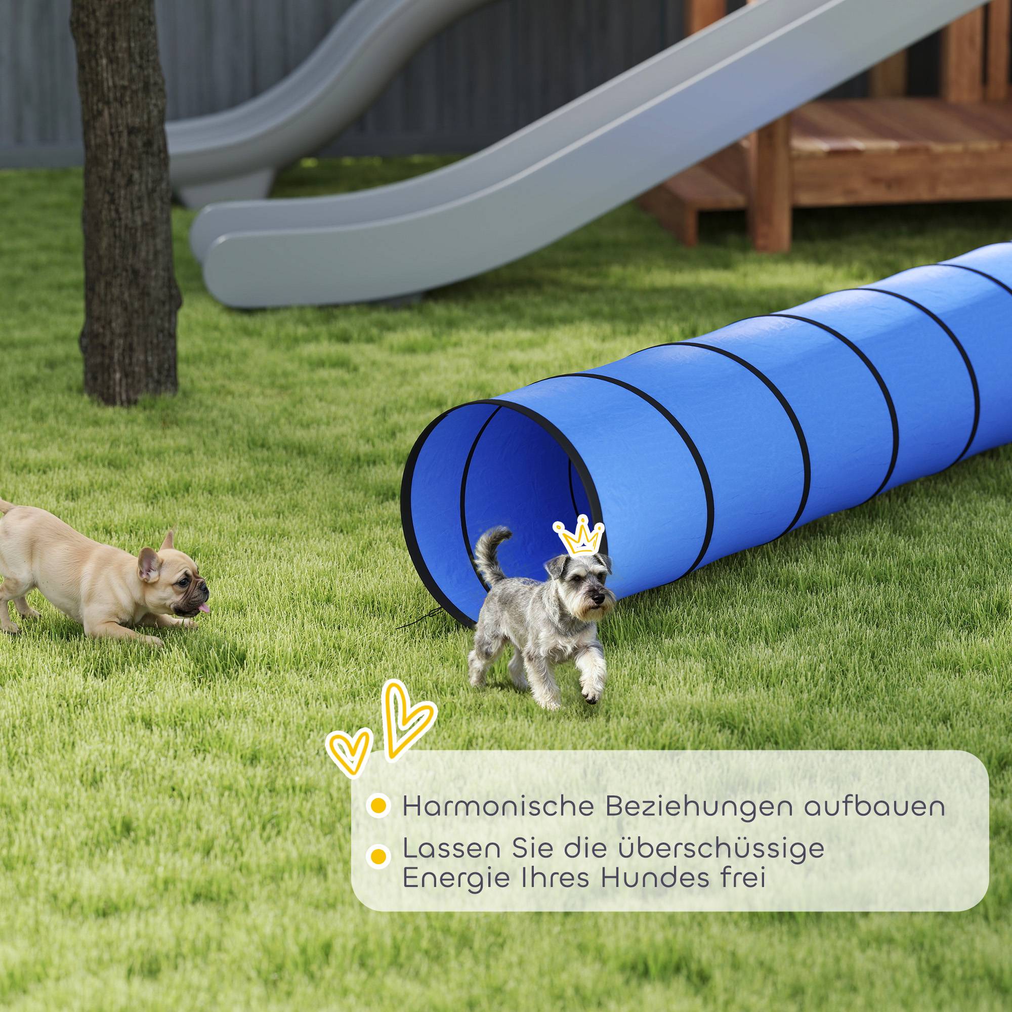 Tunnel d'agilité pour chien tissu Oxford bleu 300 x 50 x 50 cm - PANGIVO - Image 9