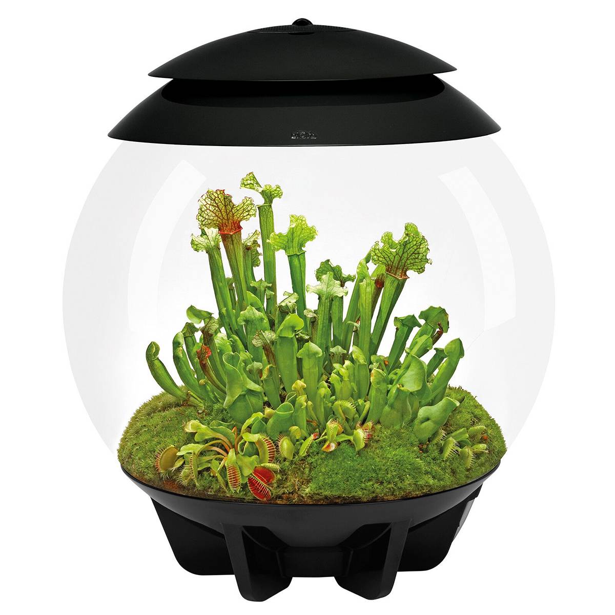 Oase - Terrarium automatisé noir AIR 30 BLACK Oase
