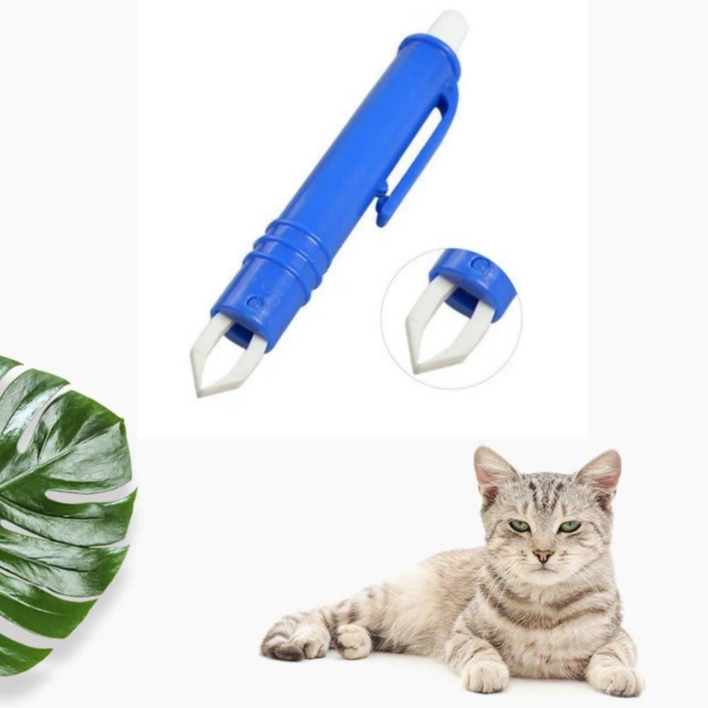 IntiMeg - parasites pour animaux Pince à puces et pennes anti Bleu  IntiMeg