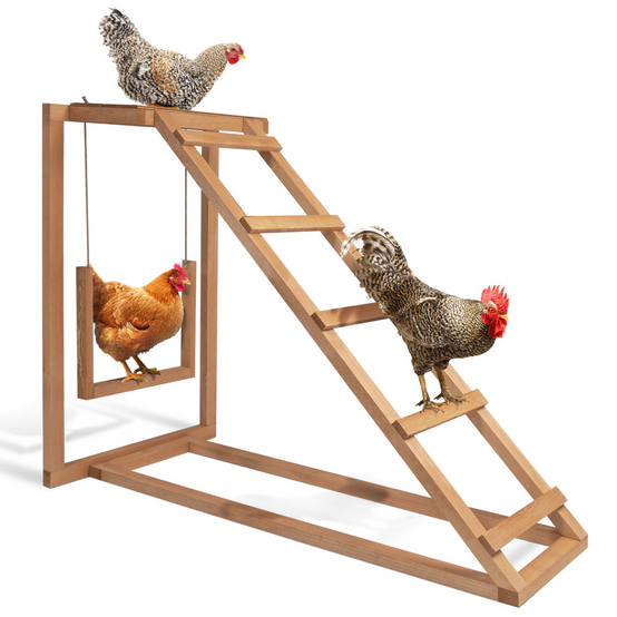 Aire de jeux en bois pour poules avec balançoire et perchoir - Image 2