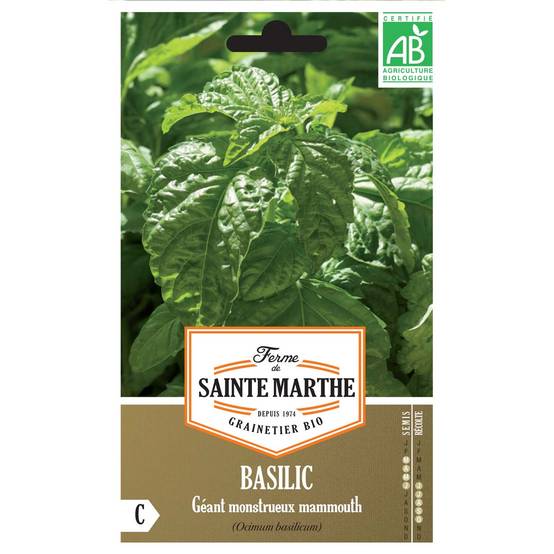 Basilic Géant Monstrueux Mammouth Bio - Ferme de Sainte Marthe le sachet de 150 graines environ (0.24g)