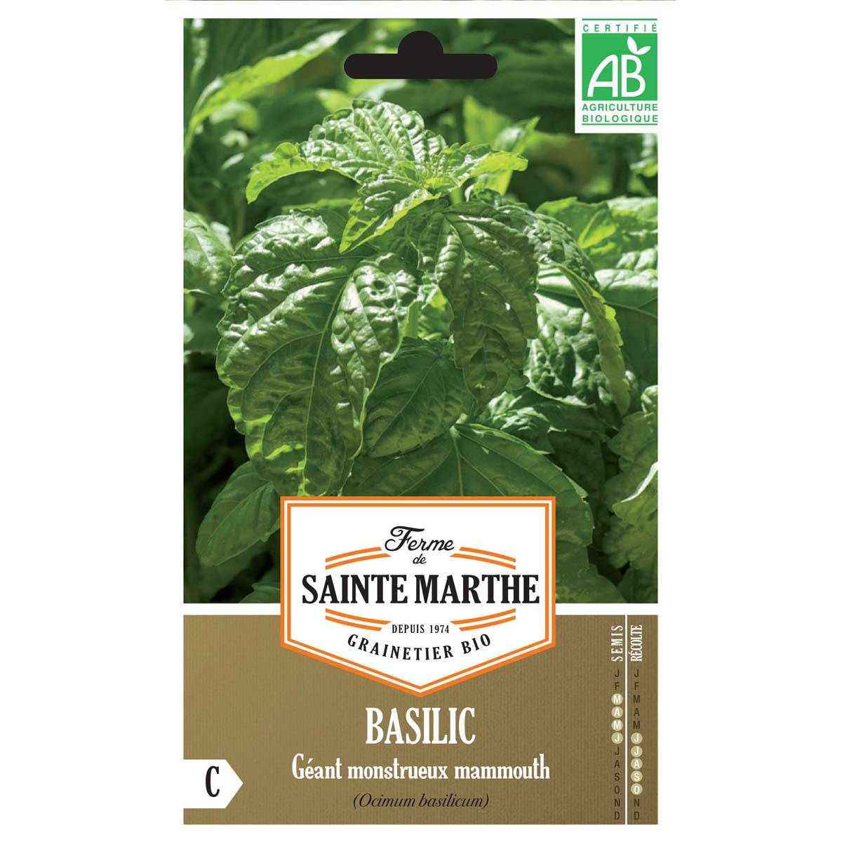 Basilic Géant Monstrueux Mammouth Bio - Ferme de Sainte Marthe le sachet de 150 graines environ (0.24g)