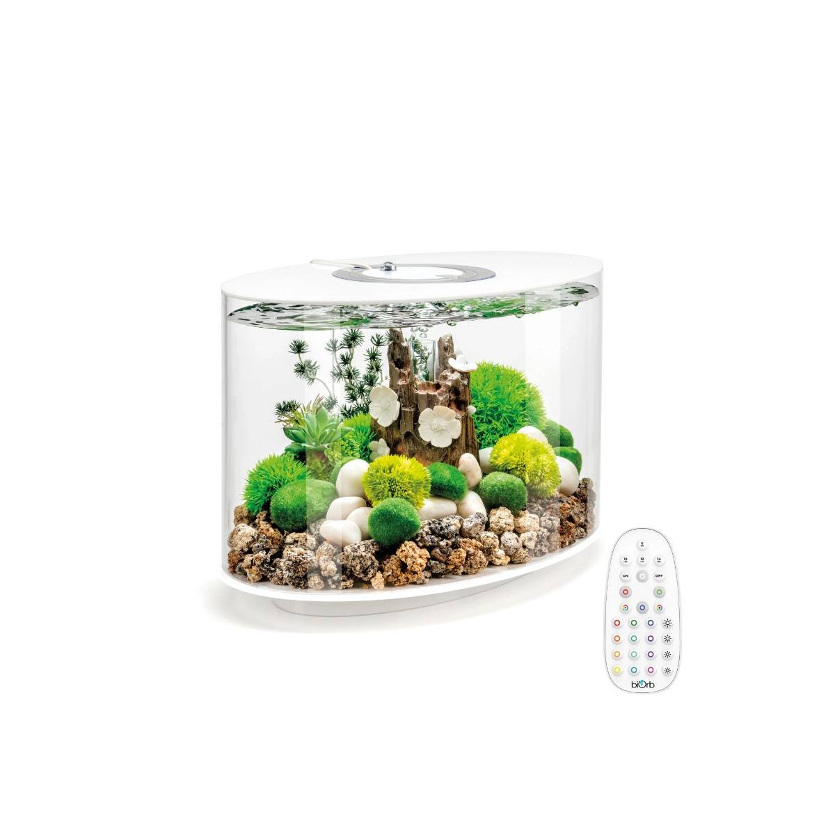 Oase - Aquarium long 15l contours blanc LOOP 15 MCR WHITE Oase - Imagen 1
