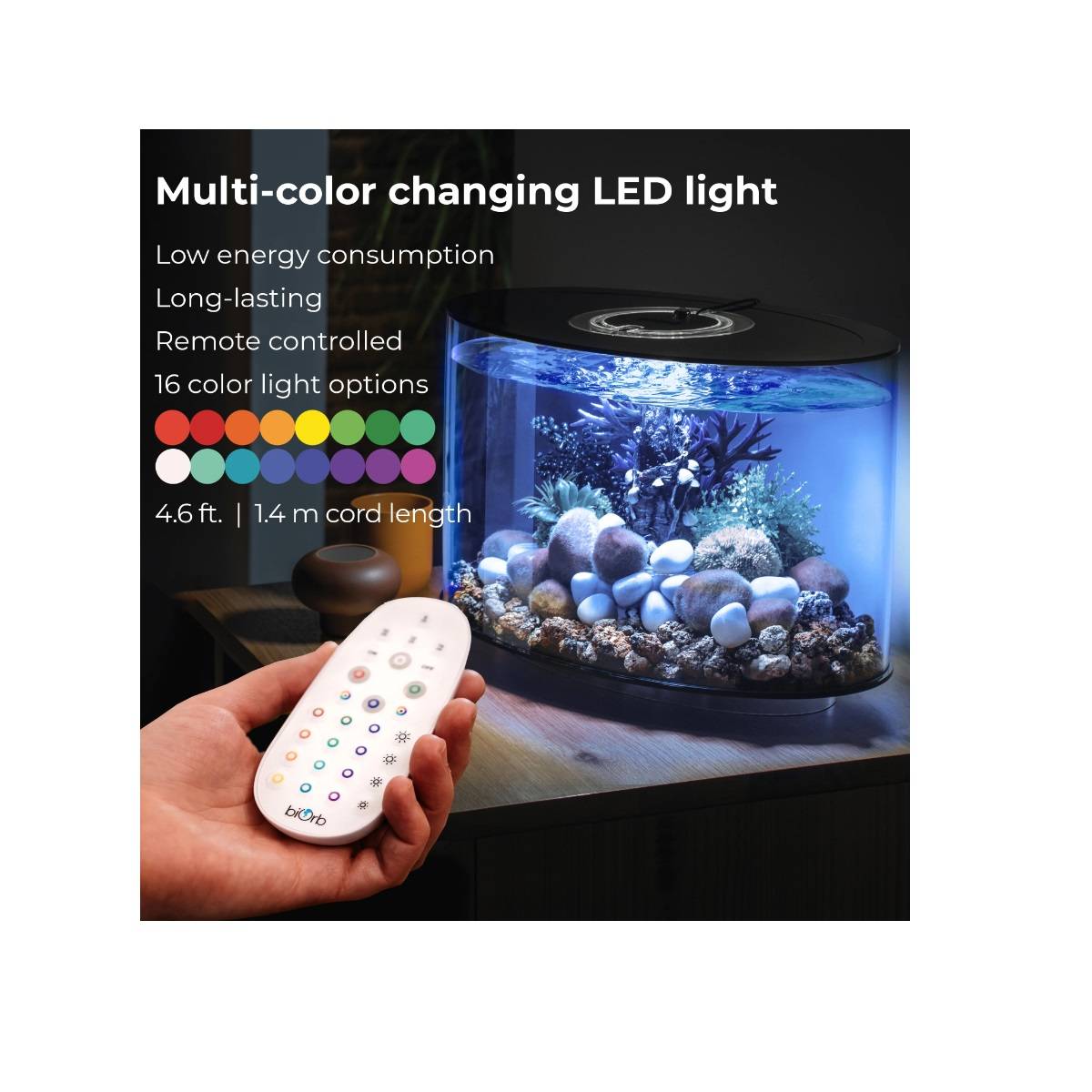 Oase - Aquarium long 15l contours blanc LOOP 15 MCR WHITE Oase - Imagen 5