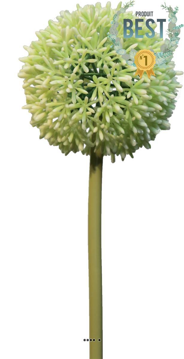 Artificielles - Allium factice en tige, spécial grande taille, H68cm Crème vert - BEST - couleur: Crème vert - Imagen 1