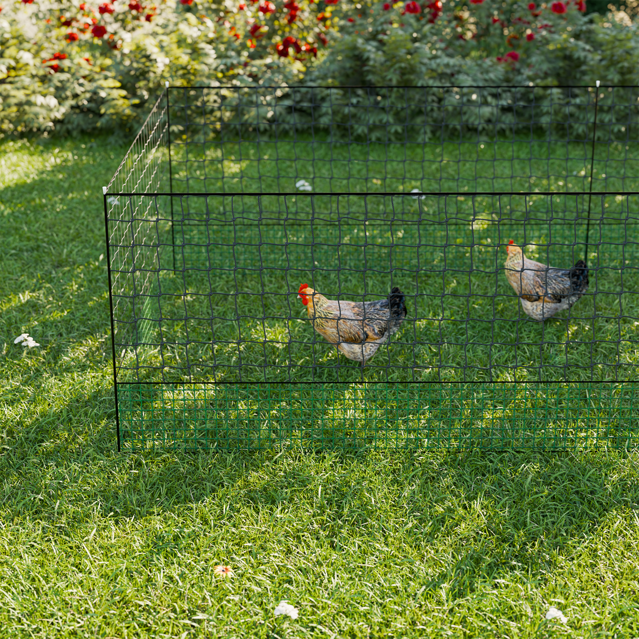 sweeek - Filet clôture 50 m pour poules avec 14 piquets double pointe, porte intégrée et sardines – Sweeek - Image 3