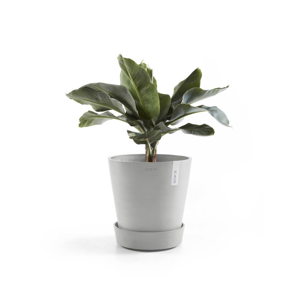 Ecopots - Support à roulettes Wheels 30 Blanc Gris - Ø 28,7 x H. 8,3 cm ECOPOTS - Imagen 3