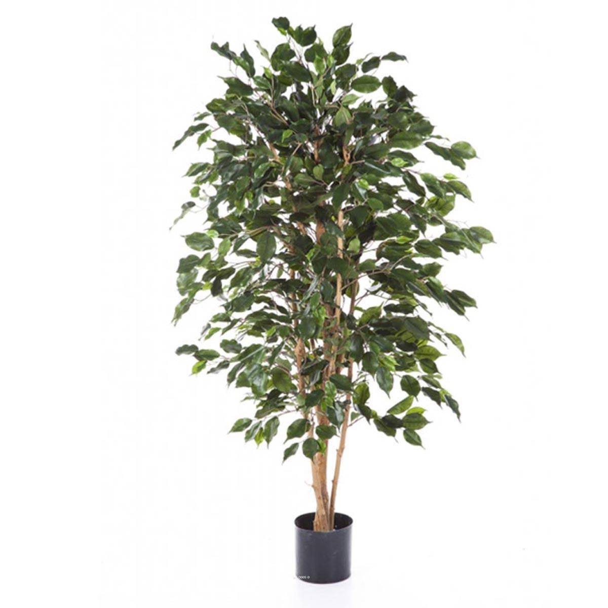 Artificielles - Ficus Exotica artificiel Vert H 210 cm 1760 feuilles en pot