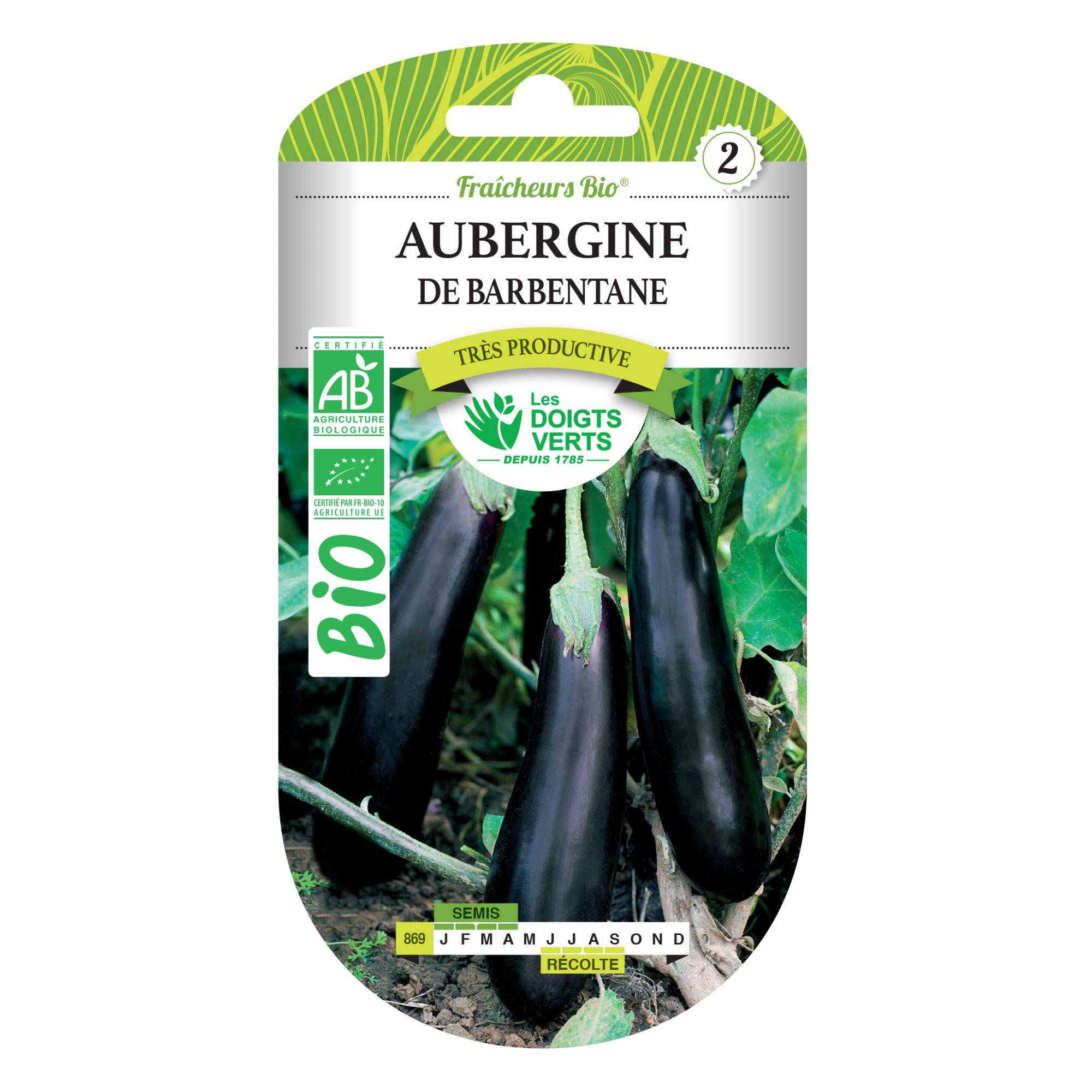 Graines aubergine de Barbentane BIO Les Doigts Verts - Image 2