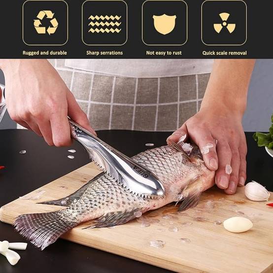 Grattoir À Écailles De Poisson Inox - Image 3