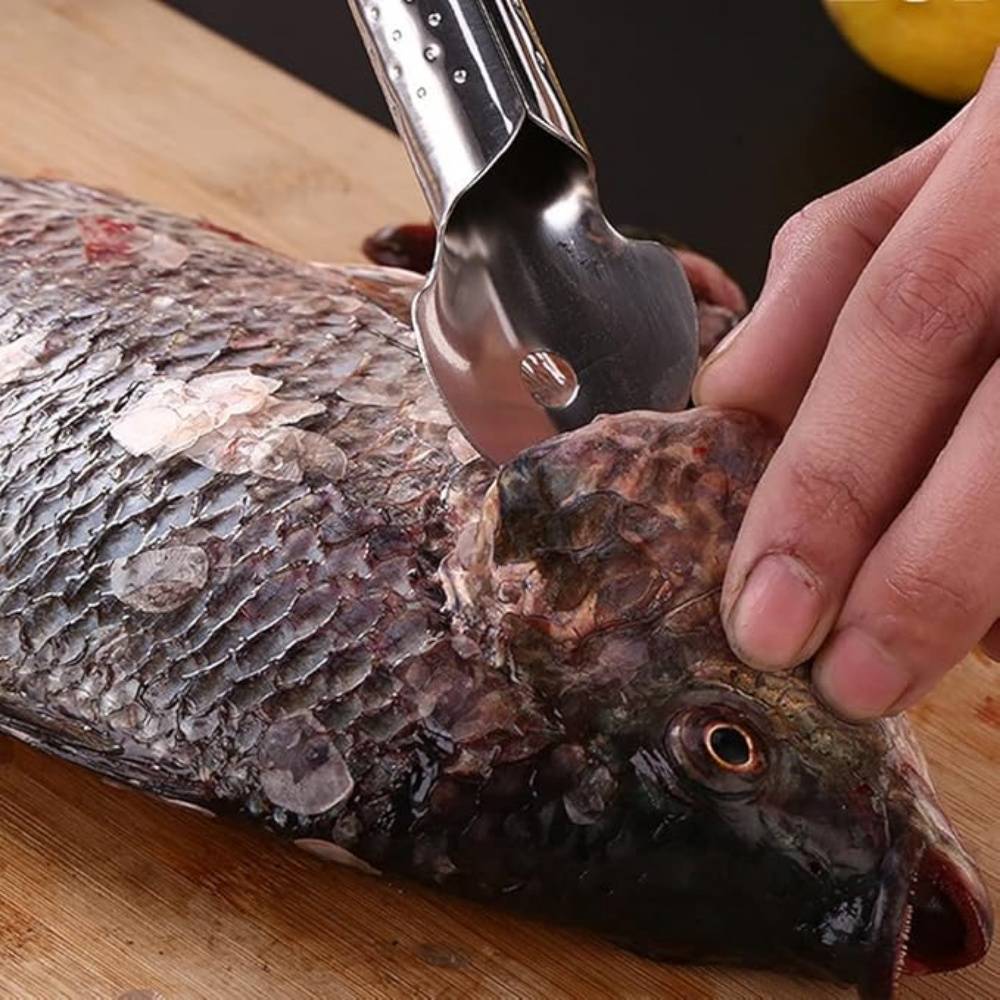 Grattoir À Écailles De Poisson Inox - Image 5