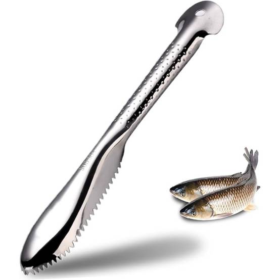 Les écailles de poisson repoussent-elles Les écailles de poisson repoussent-elles
