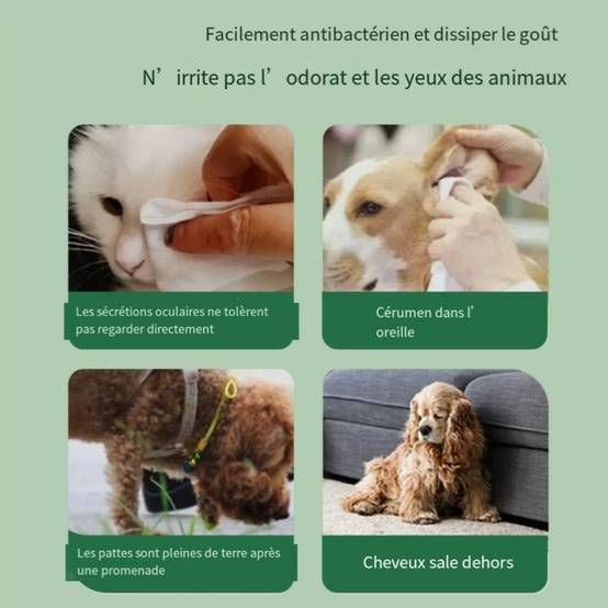 IntiMeg - Lingettes de toilettage pour animaux de compagnie IntiMeg - Image 3