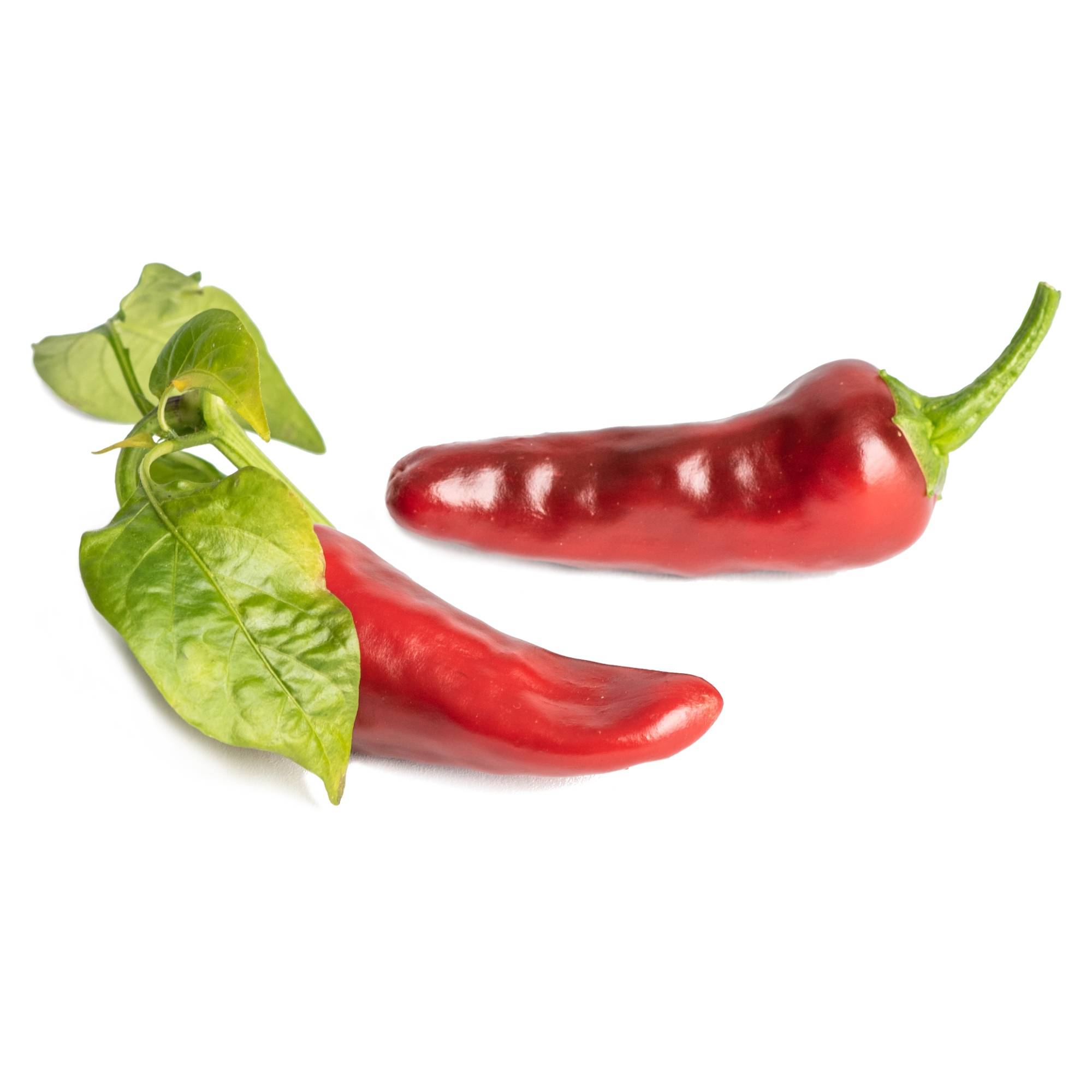 Veritable - Lingot Piment d'Espelette - Recharge prête à l'emploi - Véritable - Imagen 2