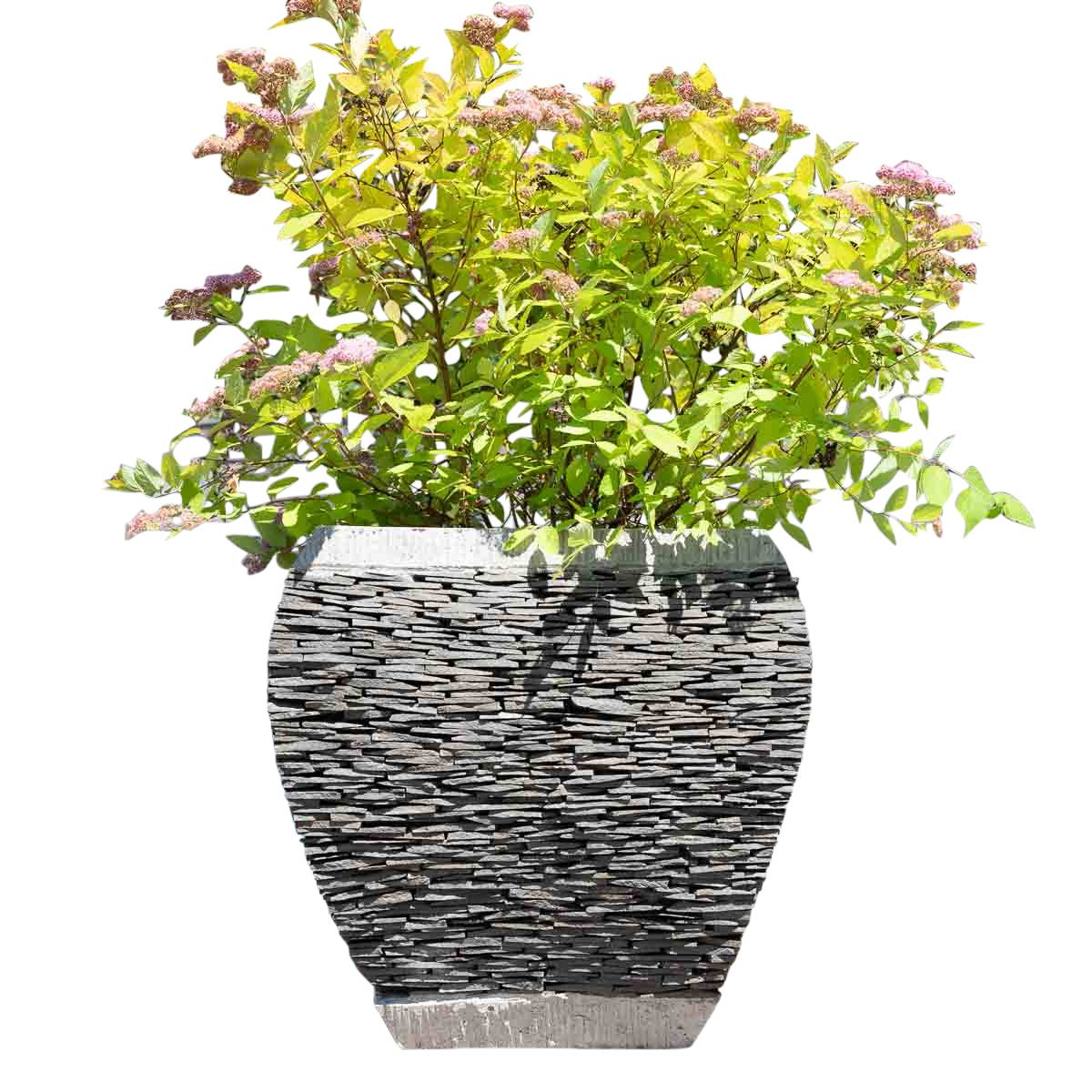 Pot bac jardinière galbé ardoise 50 cm jardin pierre naturelle - Image 1