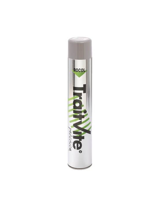 Peinture Epoxy Blanc Traitvite