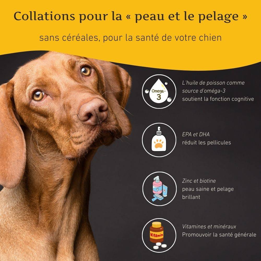 Wildfang - Wildfang® - Forfait Promenade du Soir - pour chiens de grande taille de plus de 25 kg - Image 7