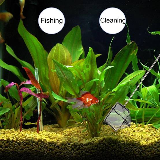 Épuisette Aquarium - Nettoyage Déchets DtopbuyAge - Image 4