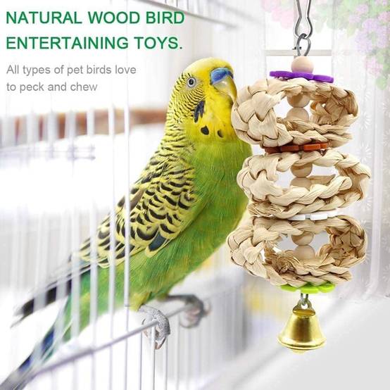 DtopbuyAge - Jouets Cage Oiseaux - Balançoire et Hamac Suspendu DtopbuyAge - Image 5