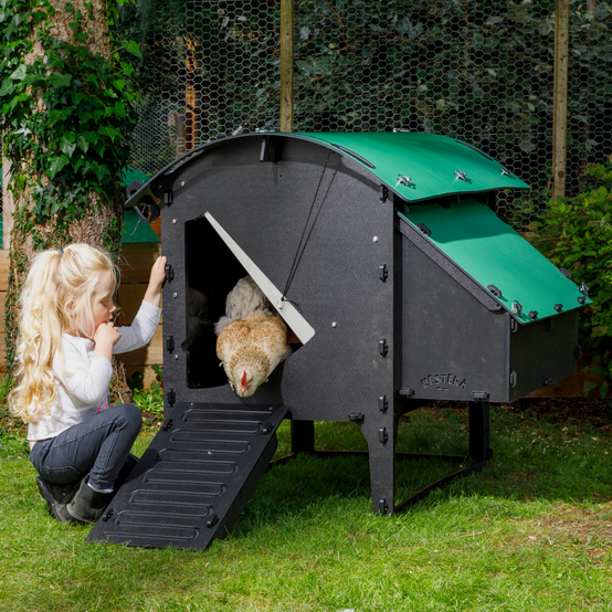 Poulailler Nestera The Lodge Medium 5 poules - Plastique recyclé - garanti 25 ans - Imagen 1