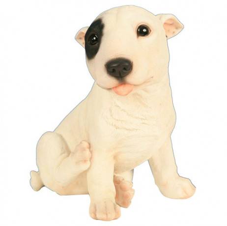 Riviera - Bébé bull terrier