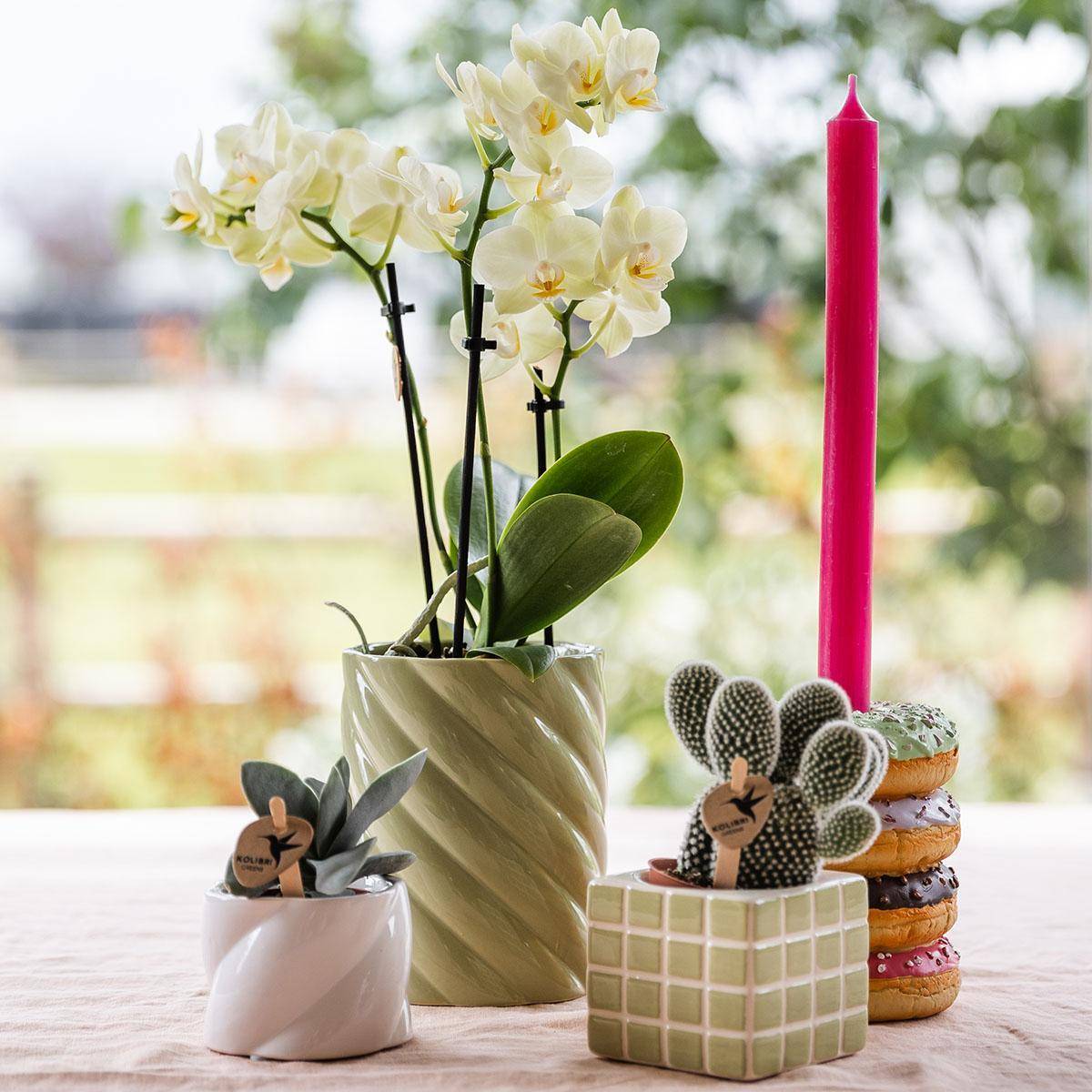 Pot décoratif Candy - Blanc- La Green Touch - Imagen 3