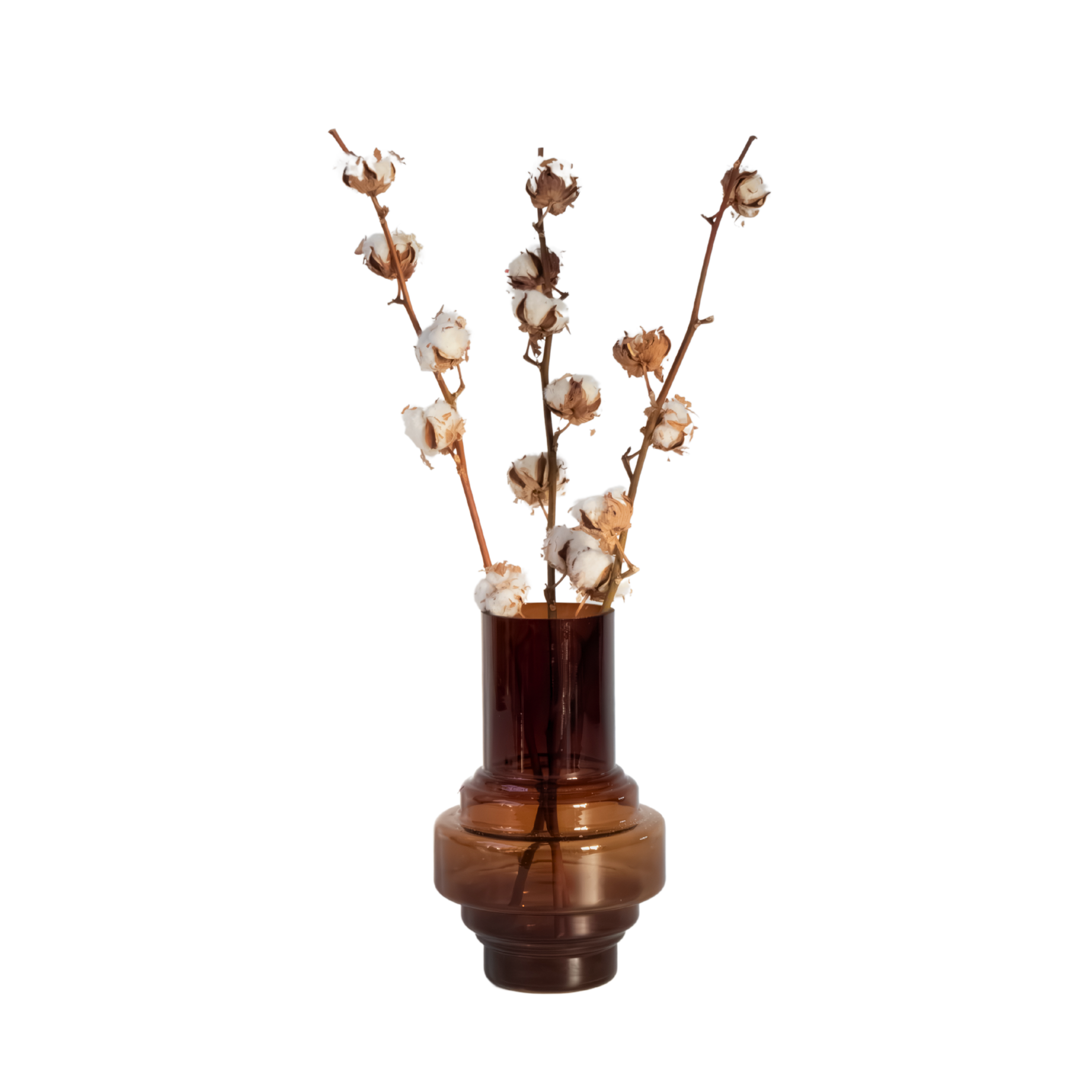 Fleurs séchées - Set de 3 - Bouquet 'Cotton branch' - Image 1