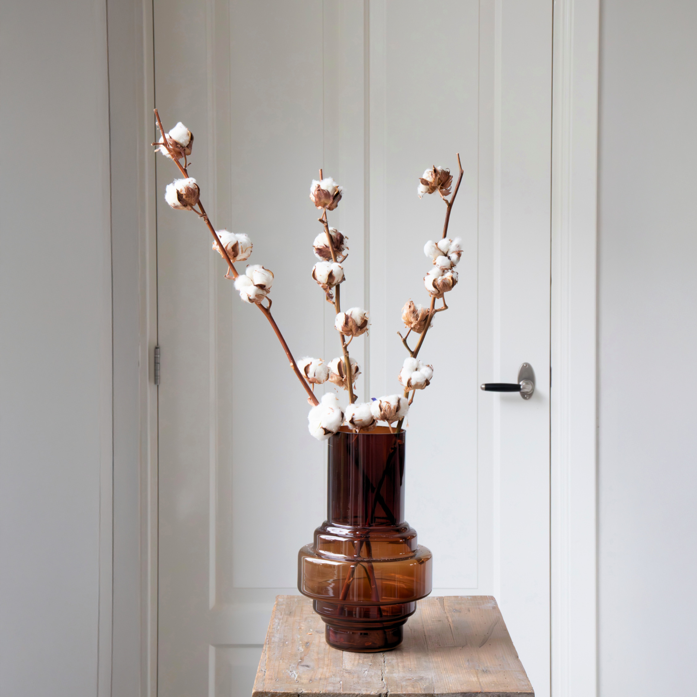 Fleurs séchées - Set de 3 - Bouquet 'Cotton branch' - Image 2