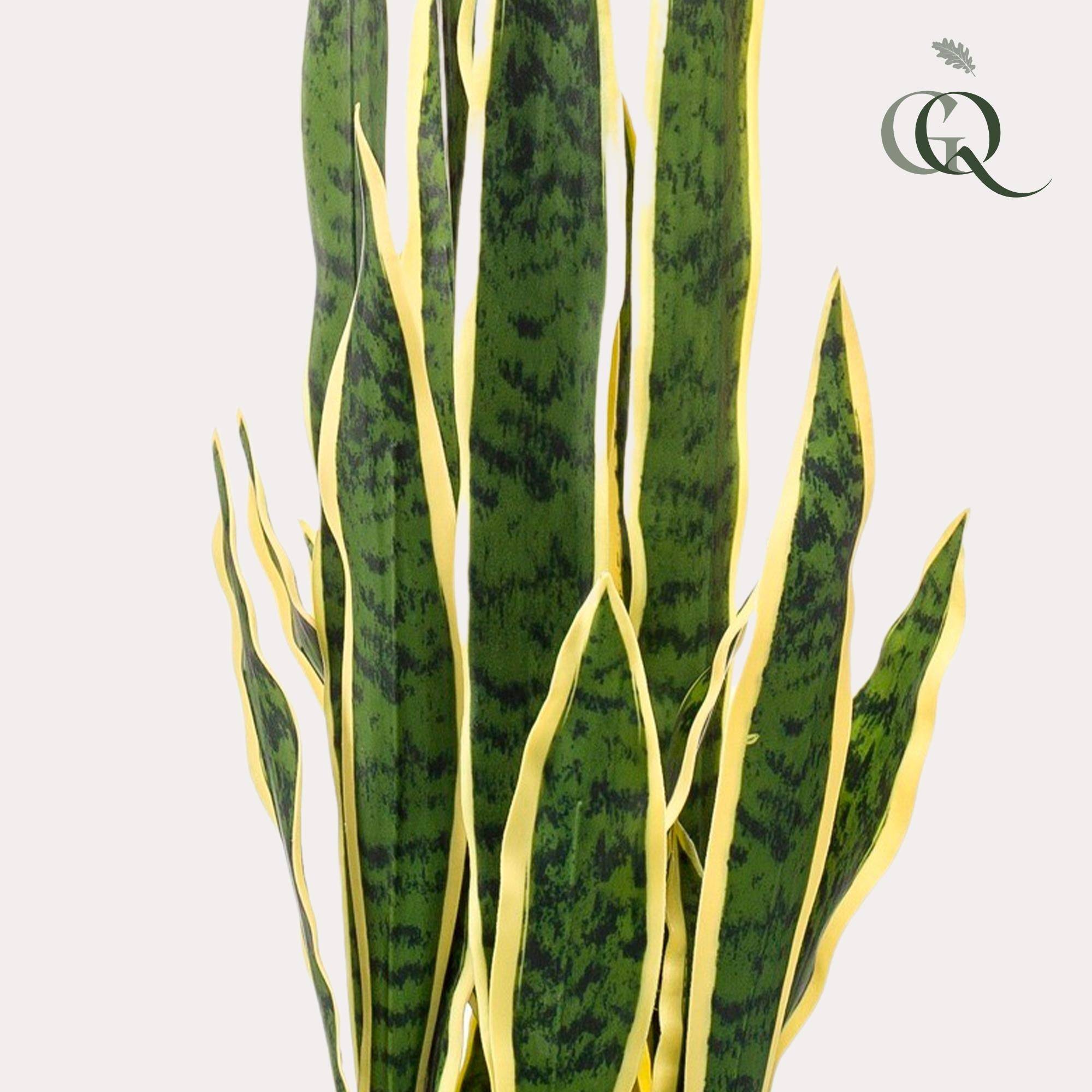 La Green Touch - Sanseveria Trifasciata plante artificielle - h97cm, Ø12cm- La Green Touch - Imagen 2