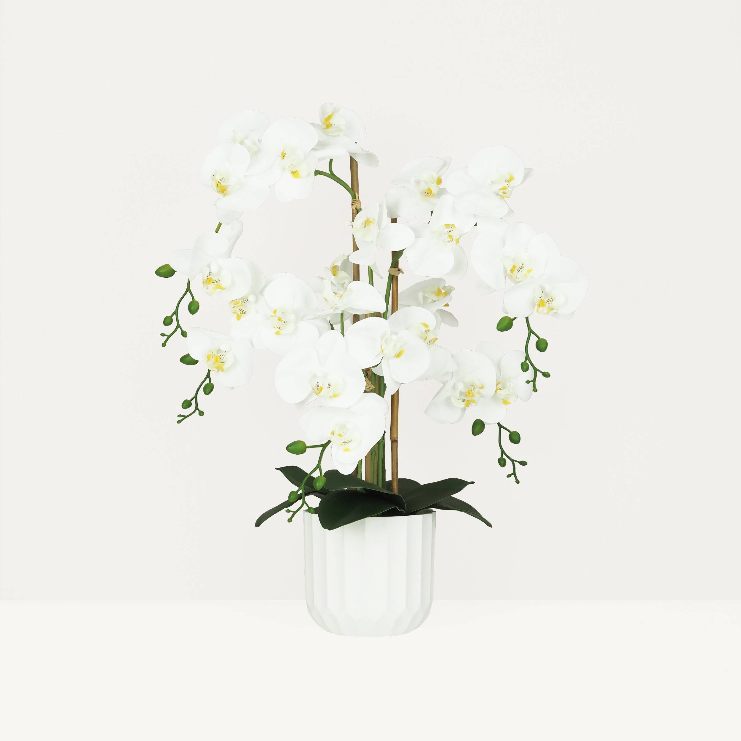 Ligne Deco - Orchidée artificielle toucher naturel 60cm Ligne Déco - Image 1