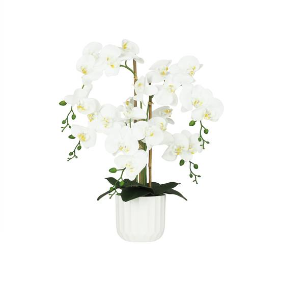 Ligne Deco - Orchidée artificielle toucher naturel 60cm Ligne Déco - Image 2