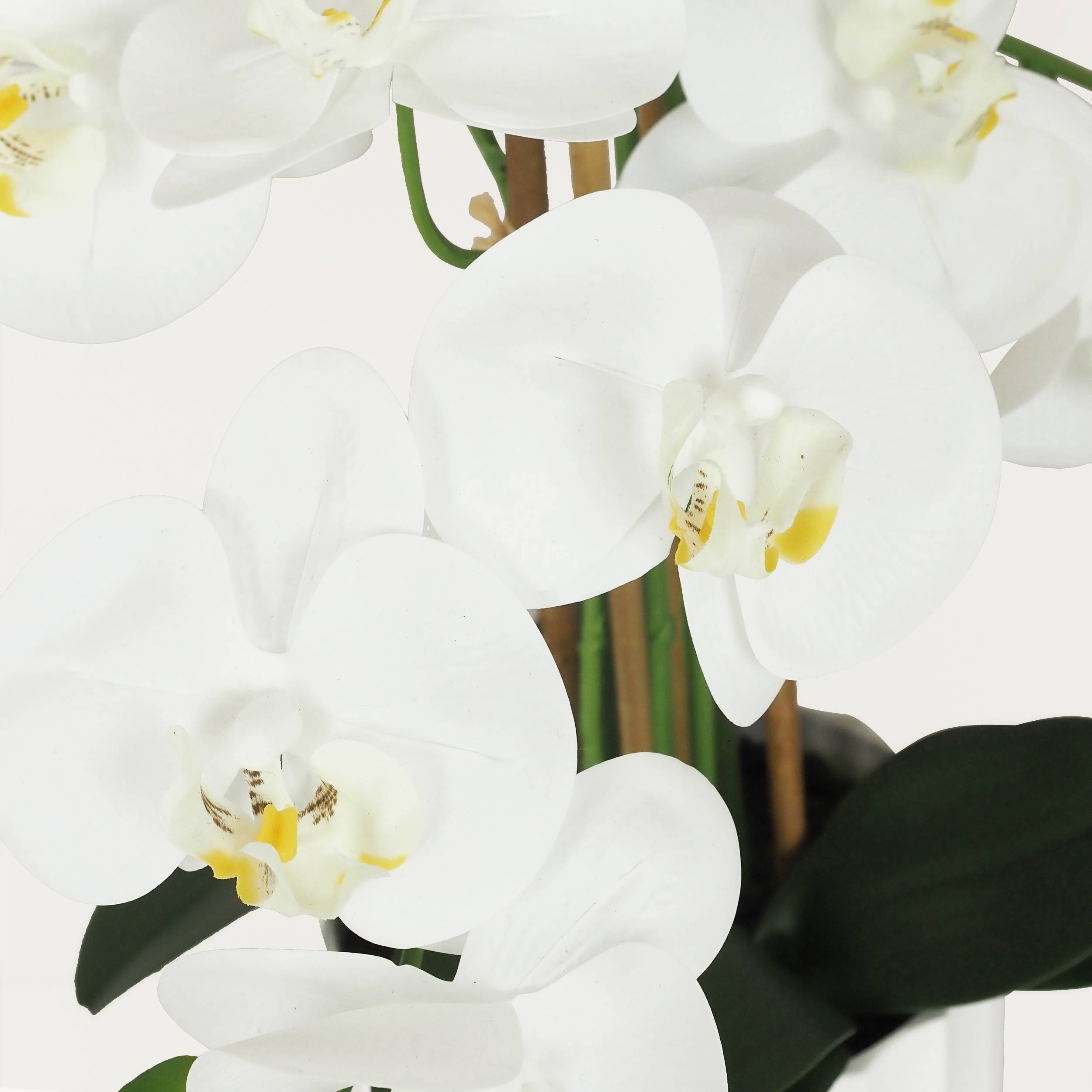Ligne Deco - Orchidée artificielle toucher naturel 60cm Ligne Déco - Image 3