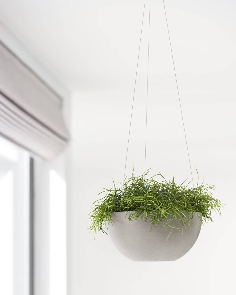 Ecopots - Pot supsendu Brussels 27 Taupe - Ø 26,5 x H. 13 cm - 4,2 L ECOPOTS - Imagen 5