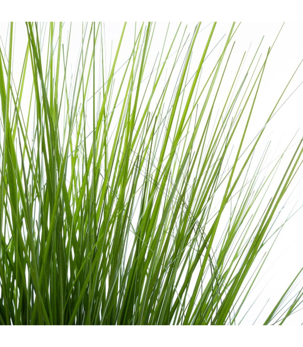 ​​​​​​​Plante artificielle ​​​​​​​Bouquet Herbes dans un Pot H 74 cm - Imagen 2