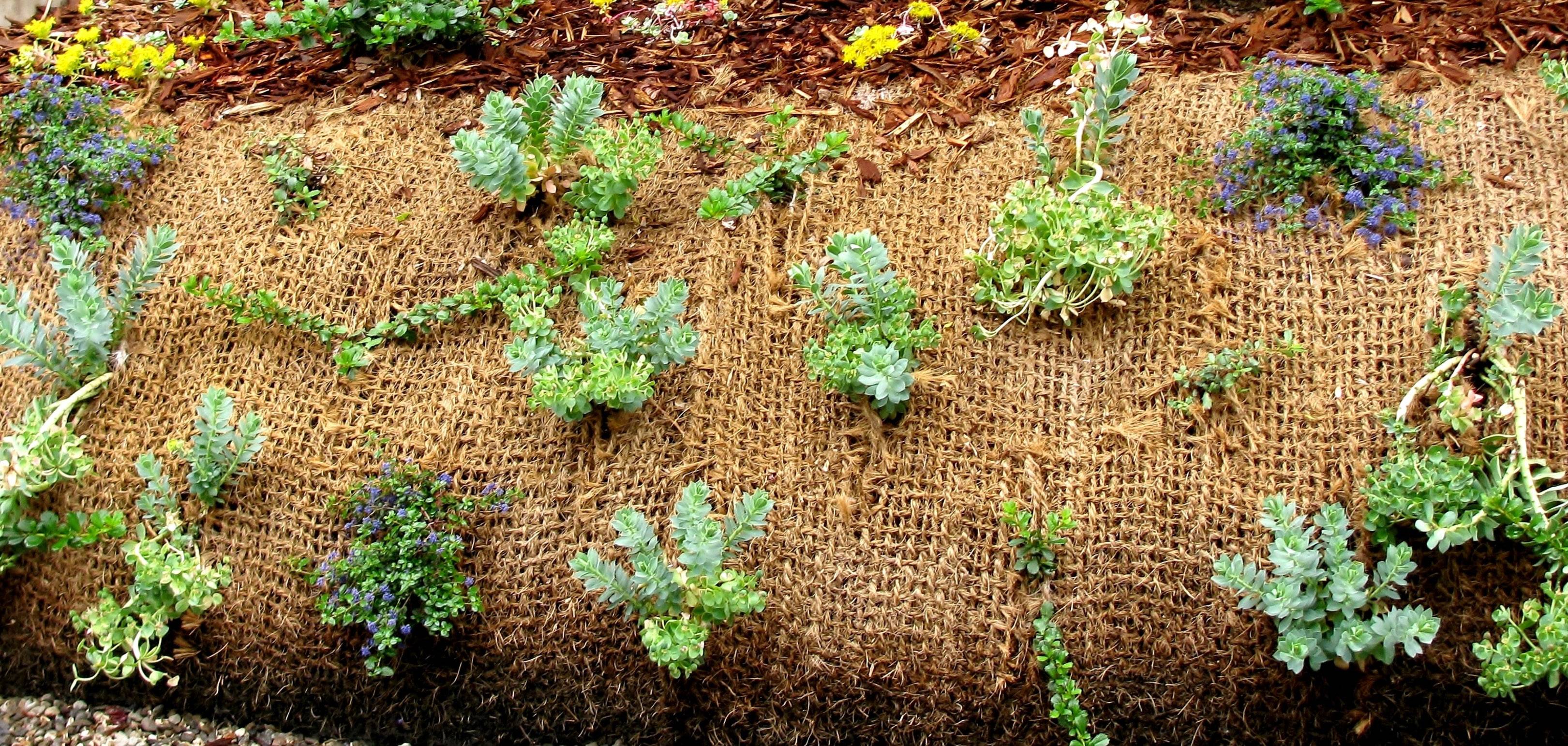 130 m filet anti-érosion en fibre de coco 1 m de large, film pour bassin de jardin, toile en fibre de noix de coco 750 g - Image 5
