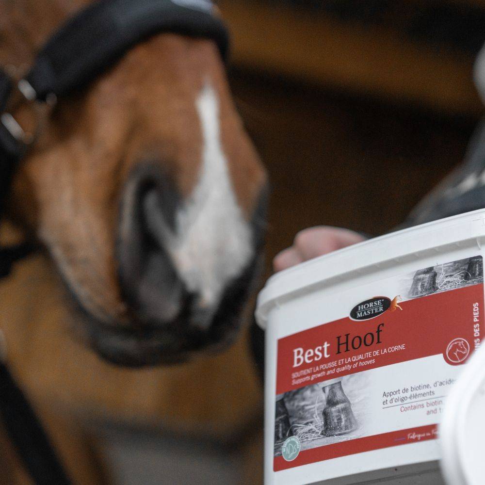 Best Hoof - Complément Biotine Sabots Cheval - Horse Master 1 kg - Imagen 2