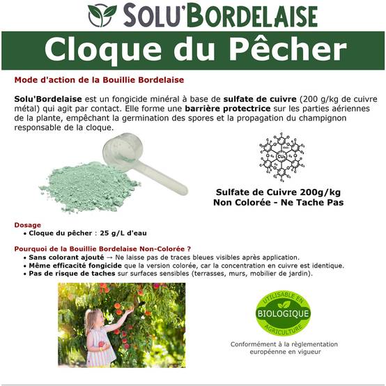 Solu'Bordelaise - Cloque du Pêcher - 500 g de Bouillie Bordelaise Non Colorée - Polyvalent - Sulfate de Cuivre 200 g/kg - Doseur Inclus - Image 3