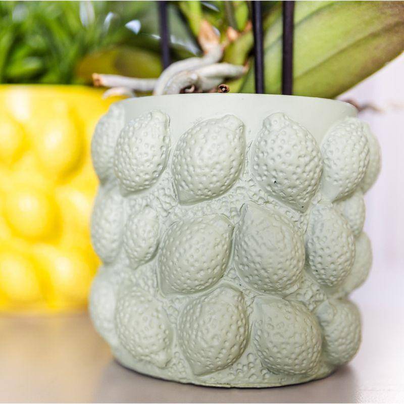 Pot décoratif en céramique verte - Citrus- La Green Touch - Imagen 2