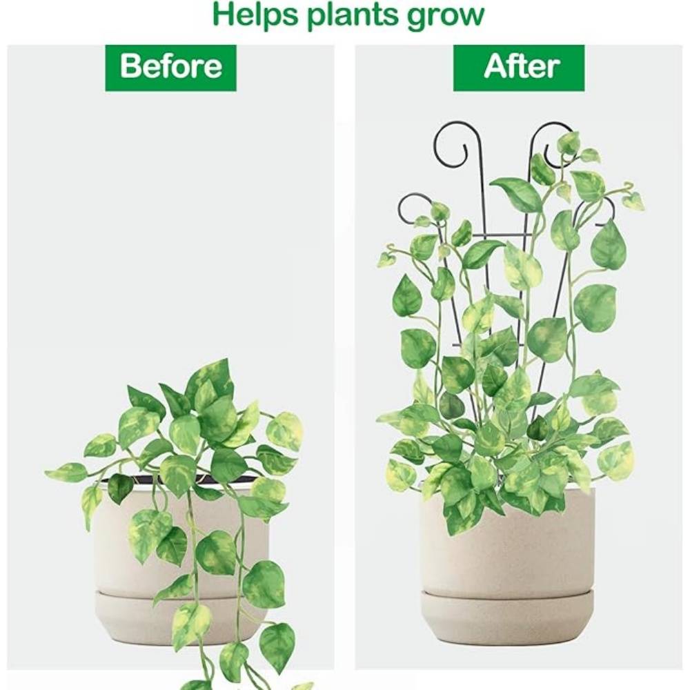 DtopbuyAge - Lot De 3 Treillis Pour Plantes Grimpantes - Image 4