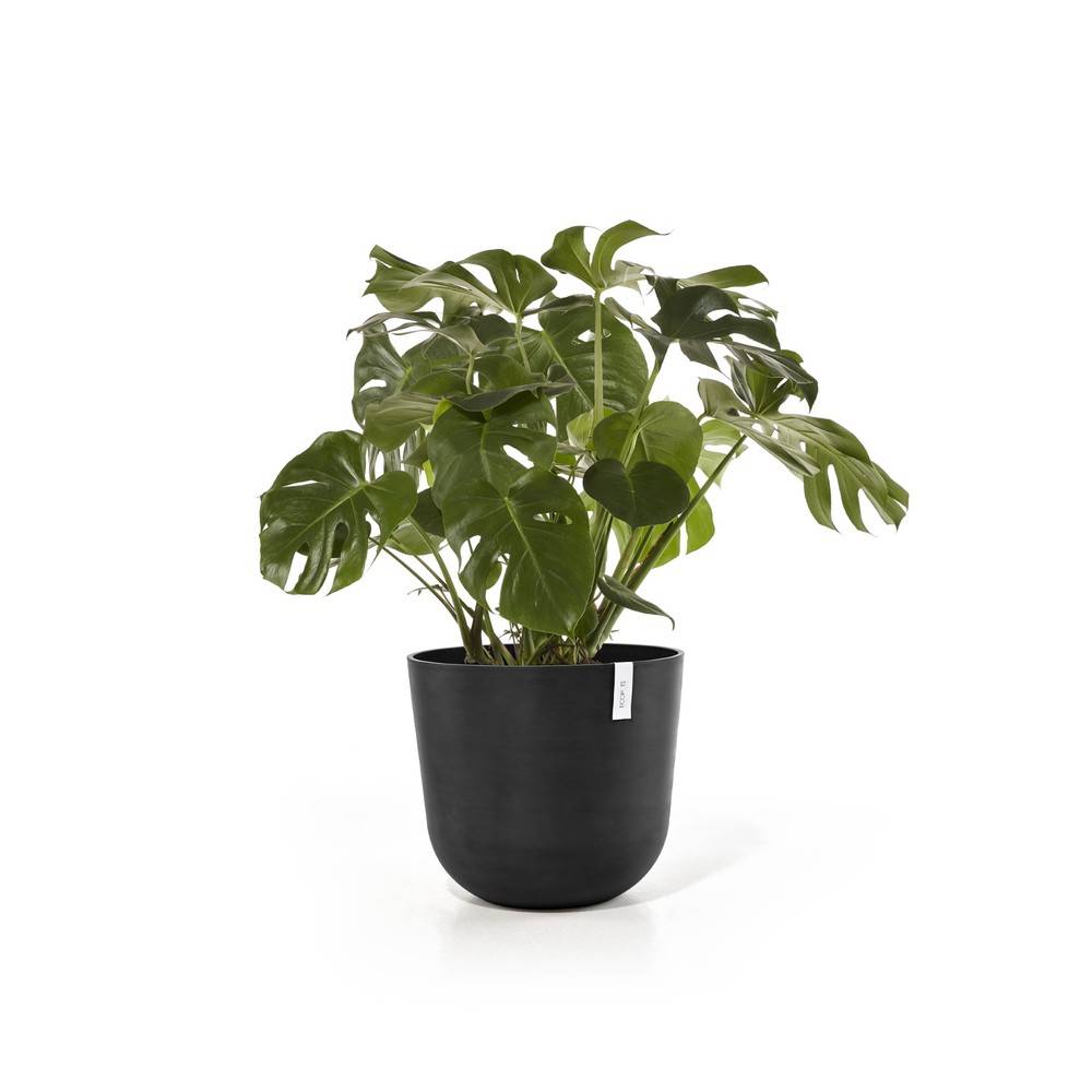 Ecopots - Pot Oslo 65 Dark Grey 139,50 L ECOPOTS - Imagen 2