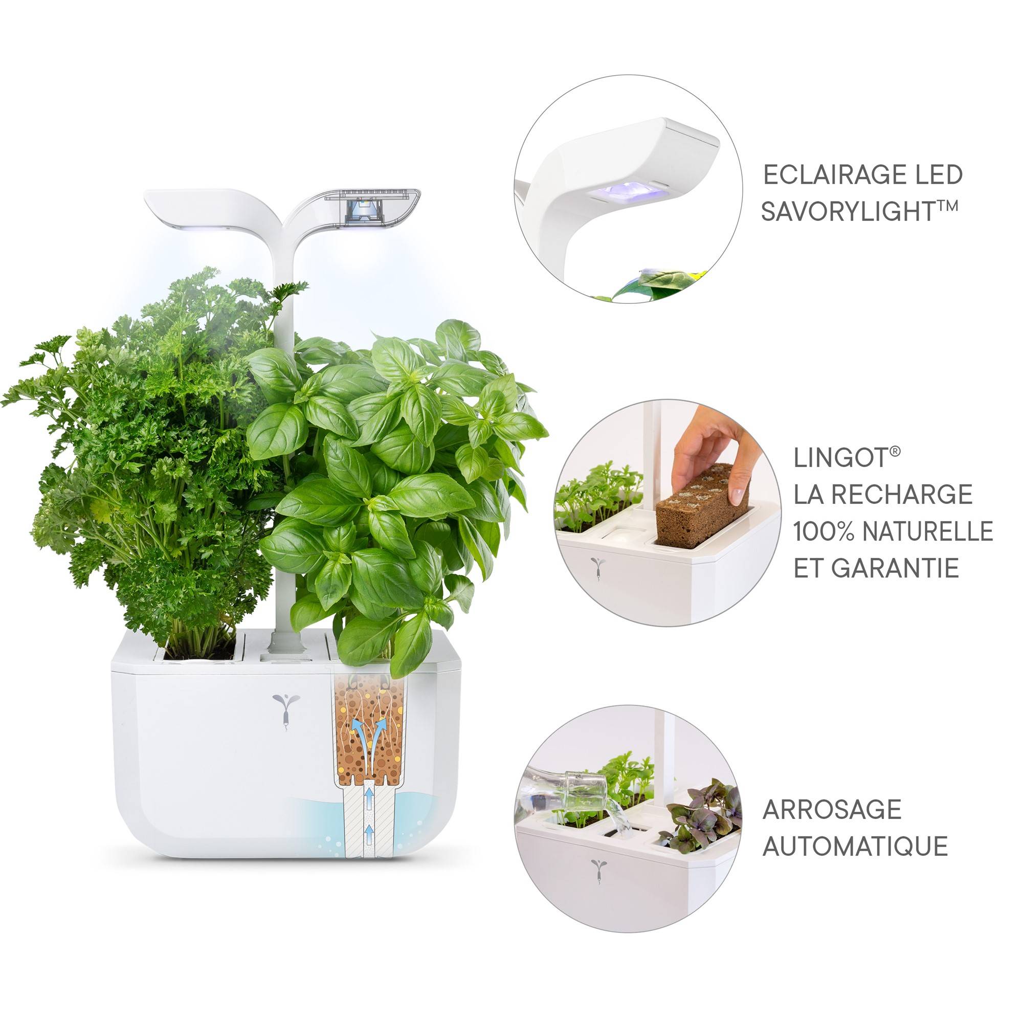 Veritable - Potager d'intérieur Autonome Véritable EXKY Classic - Livré avec 2 Lingots - Véritable - Imagen 5